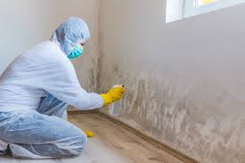 Best Environmental Consulting for Mold Prevention in Spring Valley Village, TX